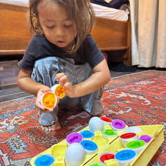 Montessori Geometric Discovery Eggs